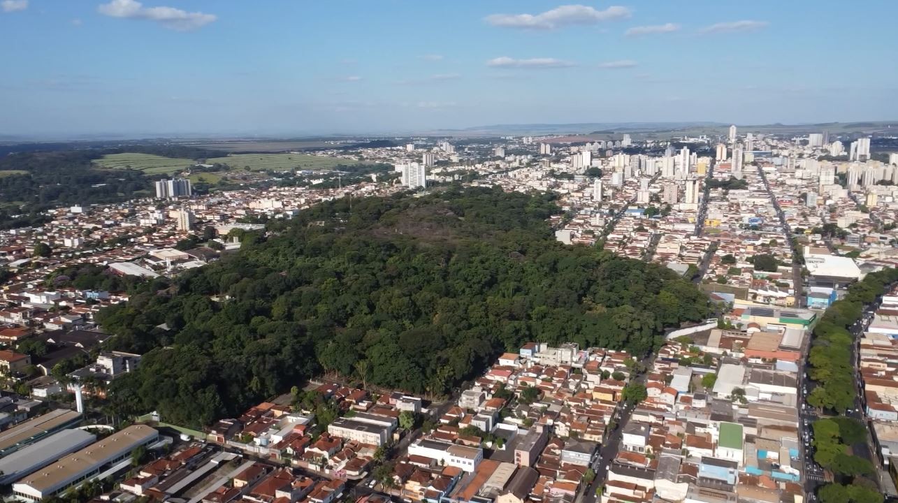 Você Não Tá Convidada pro Meu Bat Mitzvá!