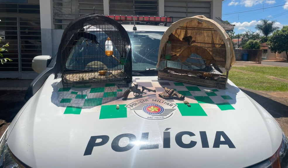 Dupla é presa em assentamento de Mirante do Paranapanema com arma e aves silvestres — Foto: Polícia Militar Ambiental/Divulgação
