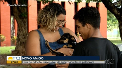 Feira de adoção de pets conquista palmenses