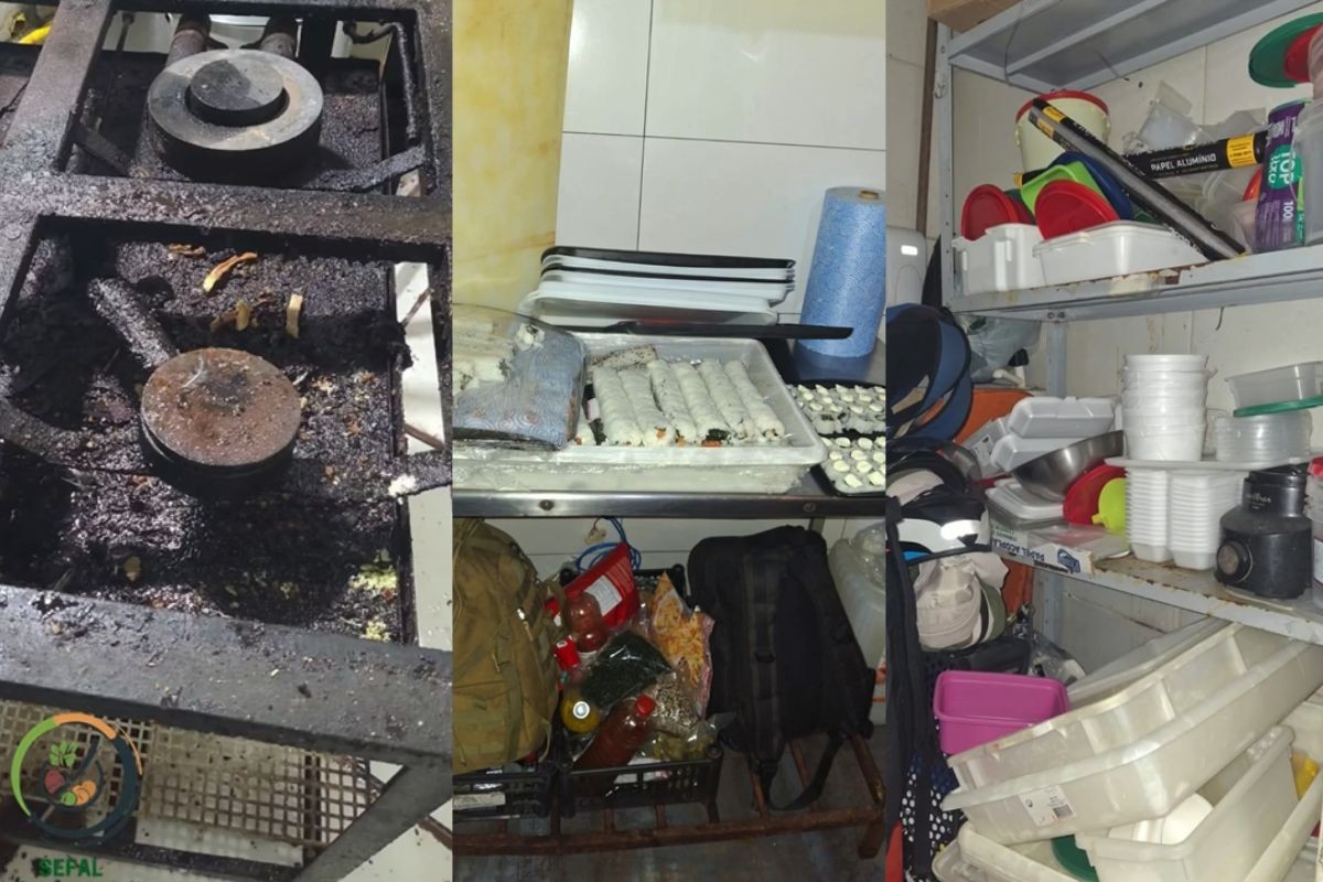 Crosta de gordura e alimentos empilhados: restaurante de sushi é interditado em Campo Grande