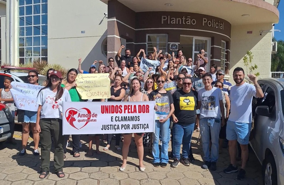 O animal foi assassinado pelo vizinho da tutora em Avaré (SP) — Foto: Reprodução