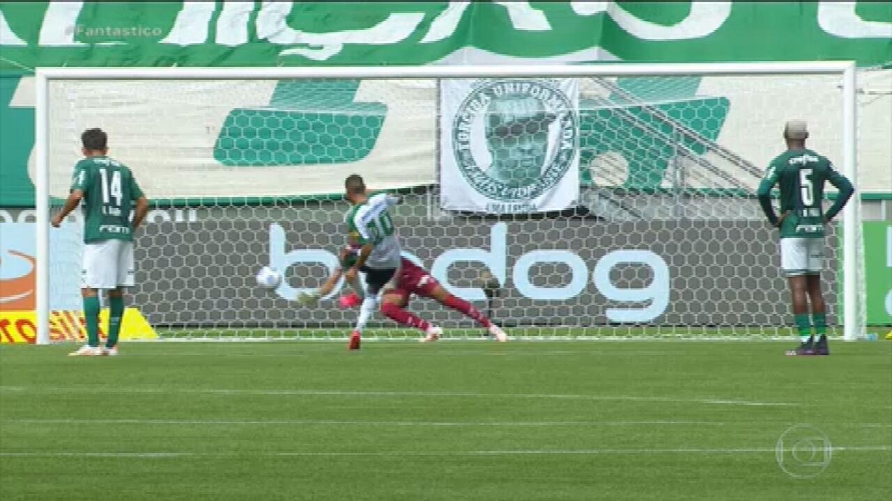 Gols do Fantástico: Palmeiras vira no fim sobre o América-MG e entra ...