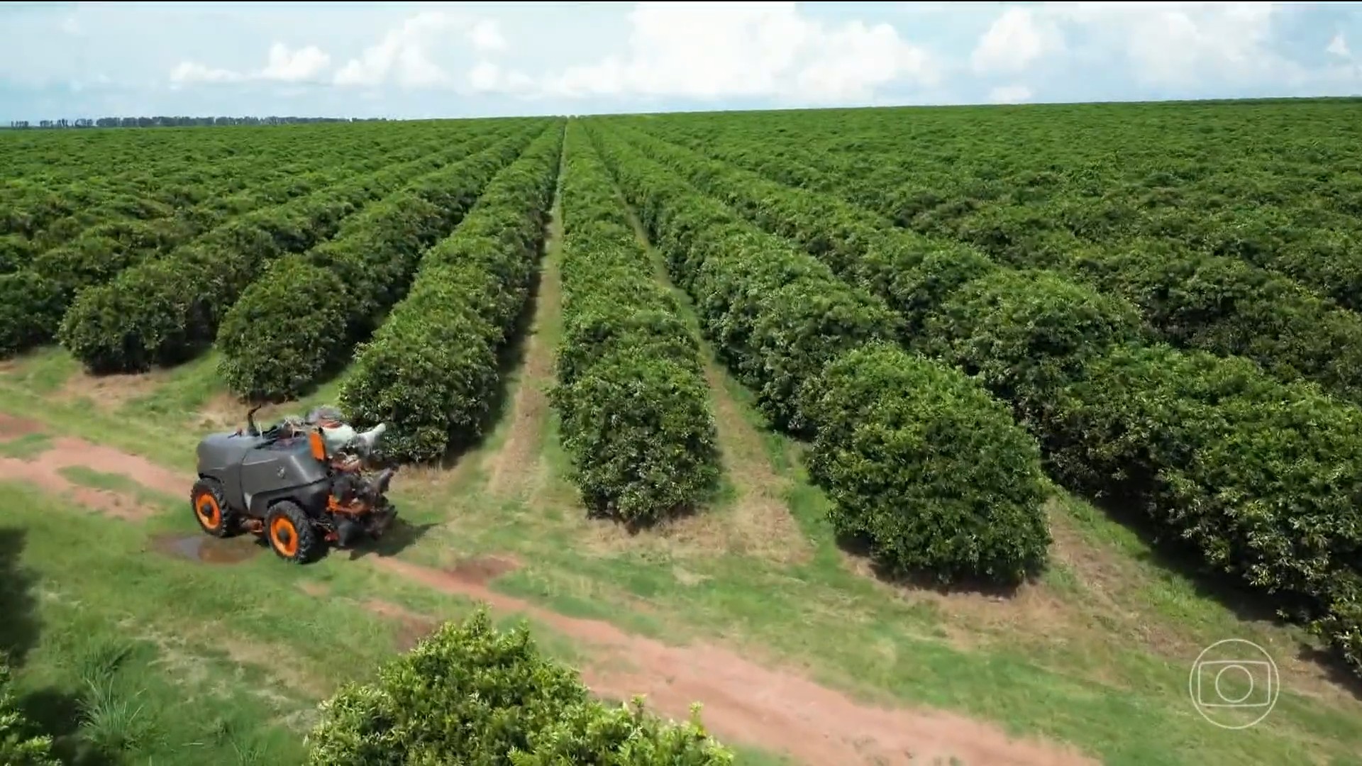 Agronegócio bate recorde de empregos no Brasil com crescimento de vagas fora do campo