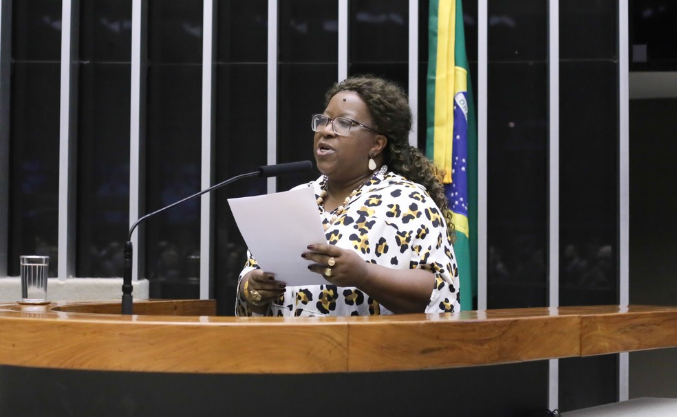 Ministra Maca&eacute; Evaristo (Direitos Humanos) durante debate na C&acirc;mara dos Deputados &mdash; Foto: Kayo Magalh&atilde;es/C&acirc;mara dos Deputados