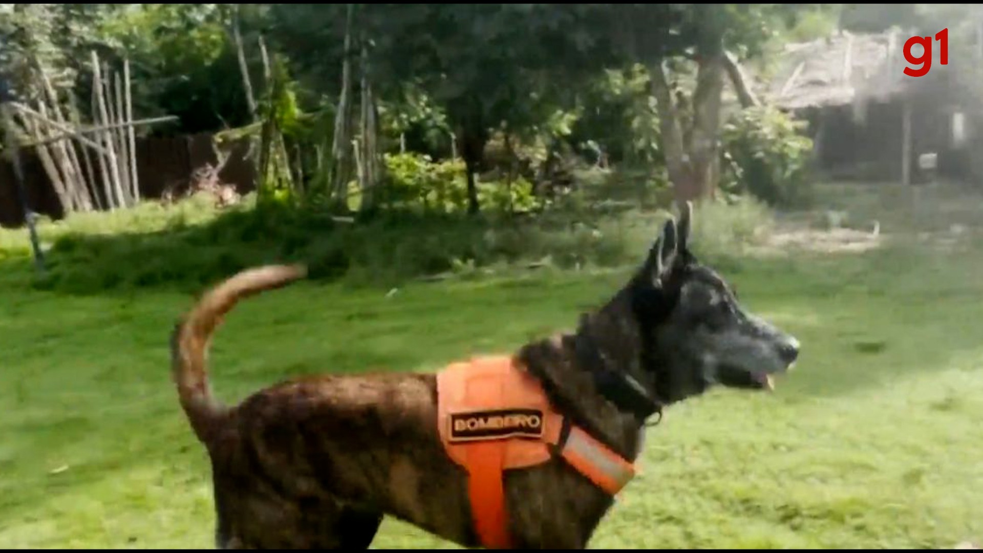 Delegado desmente boato de que irmãos desaparecidos tenham sido vendidos pela mãe e padrasto: ‘estão colocando a família em risco’