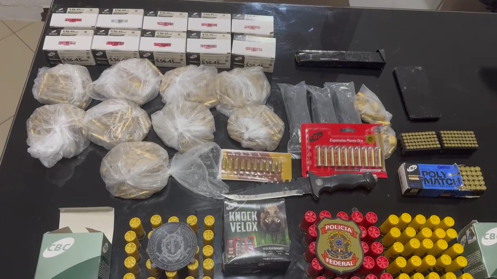 Armas e munições apreendidas pela Polícia Federal em operação contra venda ilegal de armamentos. — Foto: Polícia Federal/Divulgação
