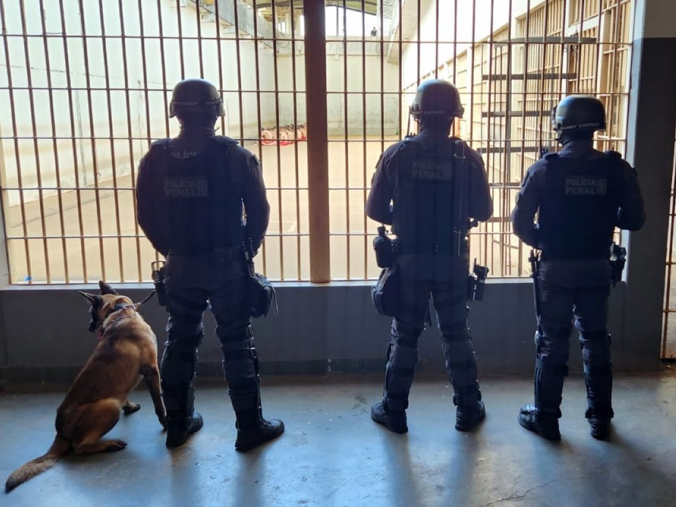 Policiais penais durante a operação 'Fora de Sintonia' — Foto: Depen-MG/Divulgação