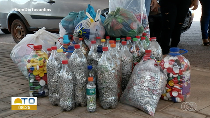 Junho Ambiental: campanha de proteção ao meio ambiente é realizada pelo TJTO