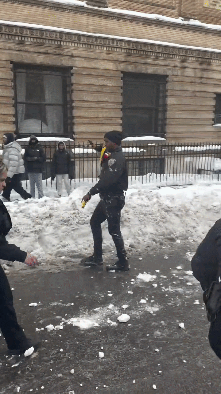 Policiais de Nova York são agredidos com bolas de neve ao tentar conter desordem em parque; VÍDEO