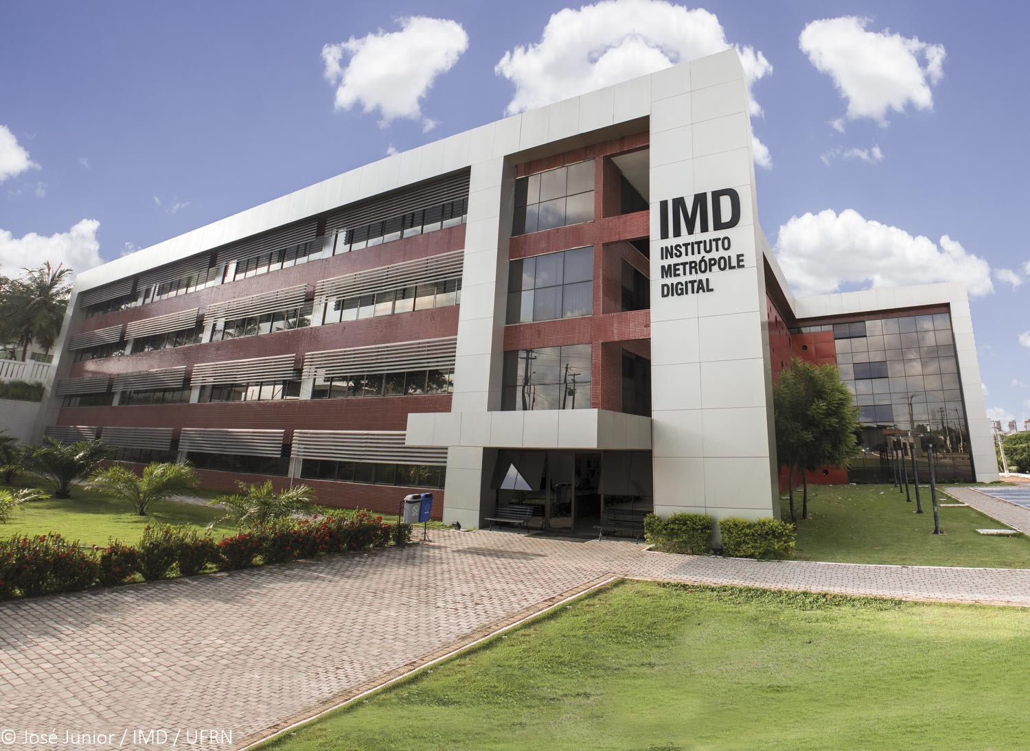 IA, Ciência de Dados e Jogos Digitais: IMD abre 55 vagas para cursos gratuitos em tecnologia