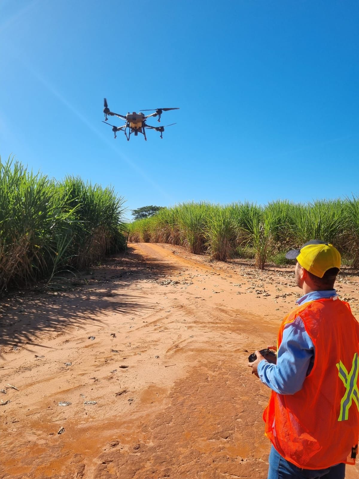Piloto de drone tem salário de até R$ 10 mil; veja as oportunidades no agro