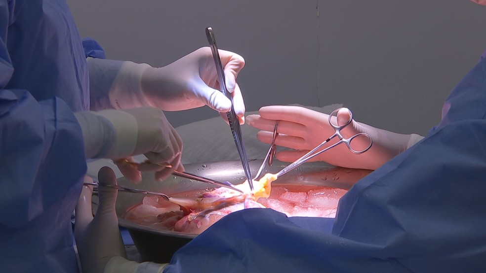 809 pessoas morreram enquanto esperavam por um órgão entre janeiro e março — Foto: Reprodução/TV TEM