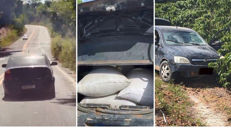 Criminosos furtam café direto do pé e são perseguidos por fazendeiro no Espírito Santo — Foto: Reprodução/ Redes Sociais