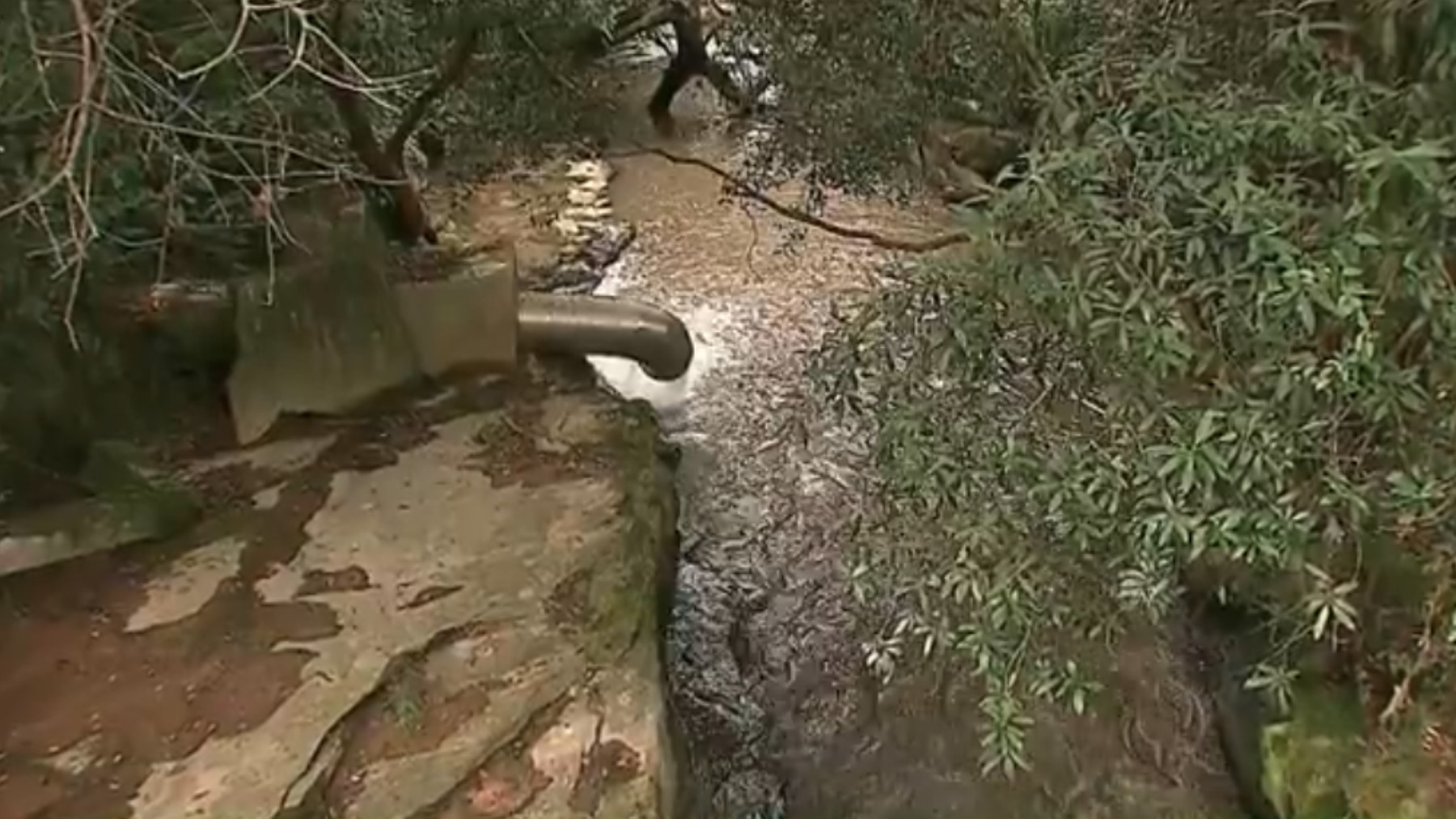 Despejo de esterco em rio afeta captação e deixa cidade sem água, no Paraná