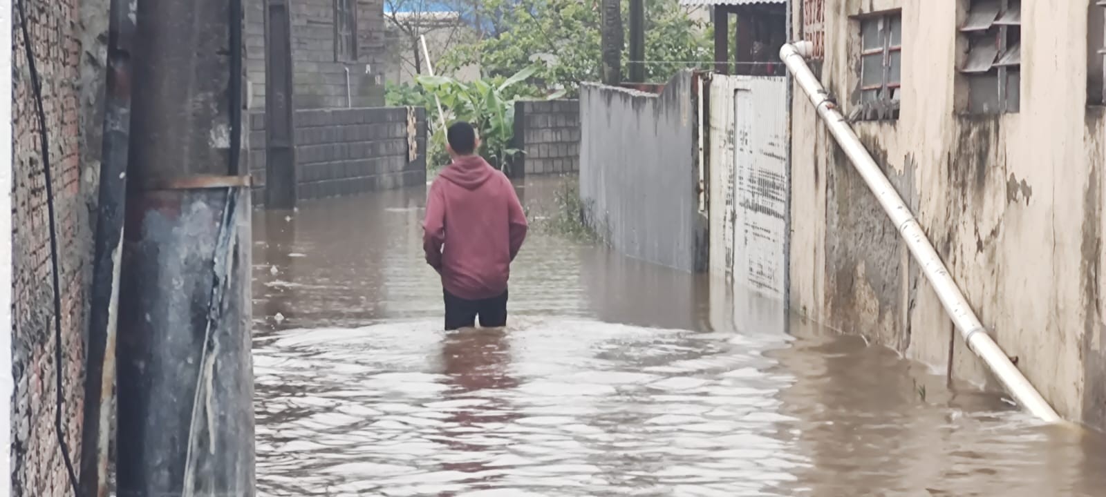 Florianópolis amanhece com ruas alagadas, aulas suspensas e estragos após chuva histórica; FOTOS