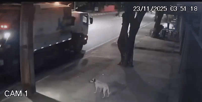 Gari flagrado arremessando saco de lixo em cachorro é identificado e vai responder por maus tratos