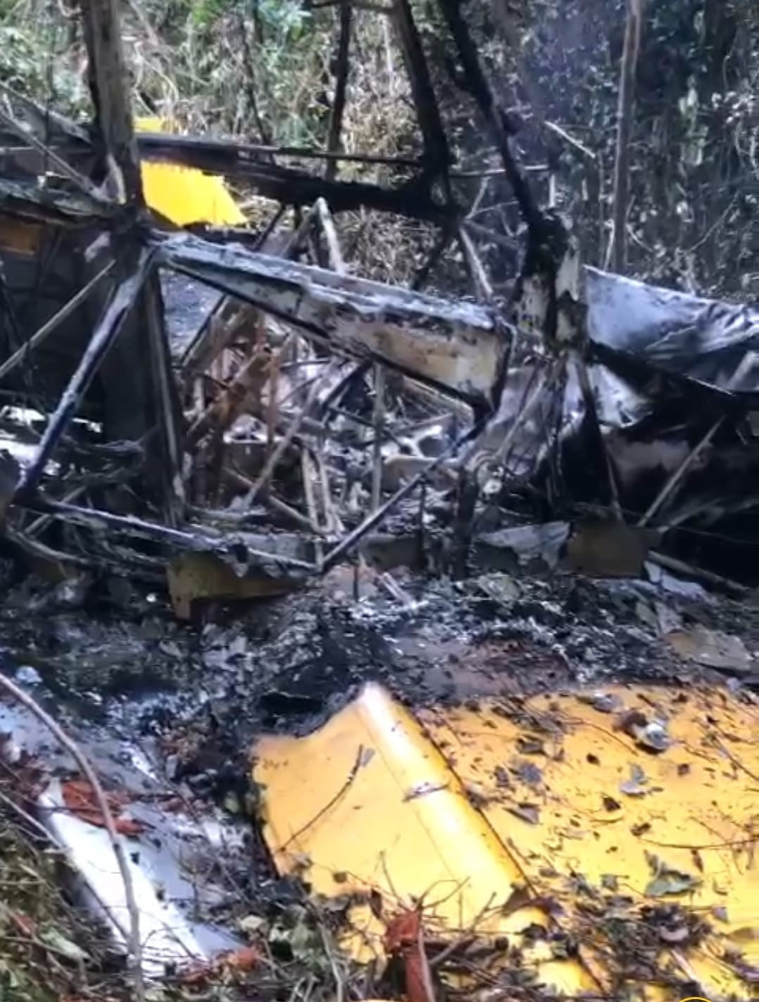 Avião agrícola cai, pega fogo e ocupantes sobrevivem no Pará