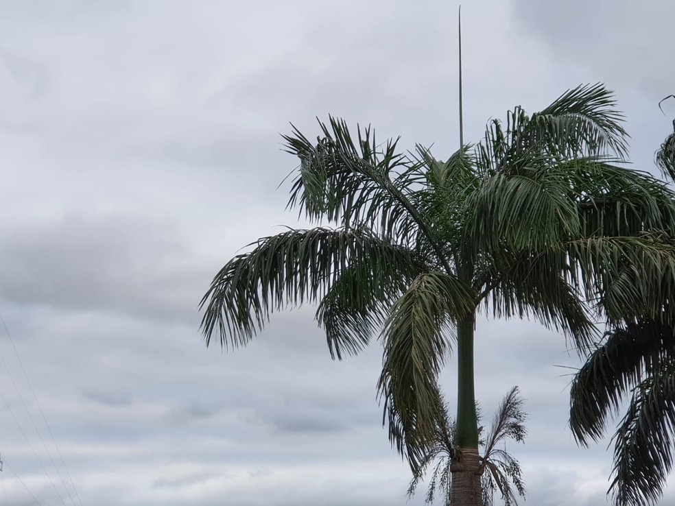 Inverno amazônico é marcado por aumento das chuvas e declínio de temperatura — Foto: Jônatas Boni/G1