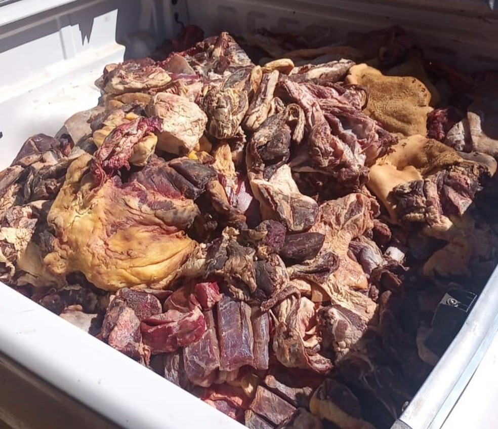 Carnes foram encontradas em frigoríferos da cidade — Foto: FPI/BA
