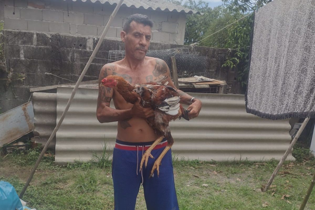 Homem é encontrado morto dentro de vala perto da casa onde vivia no litoral de SP 