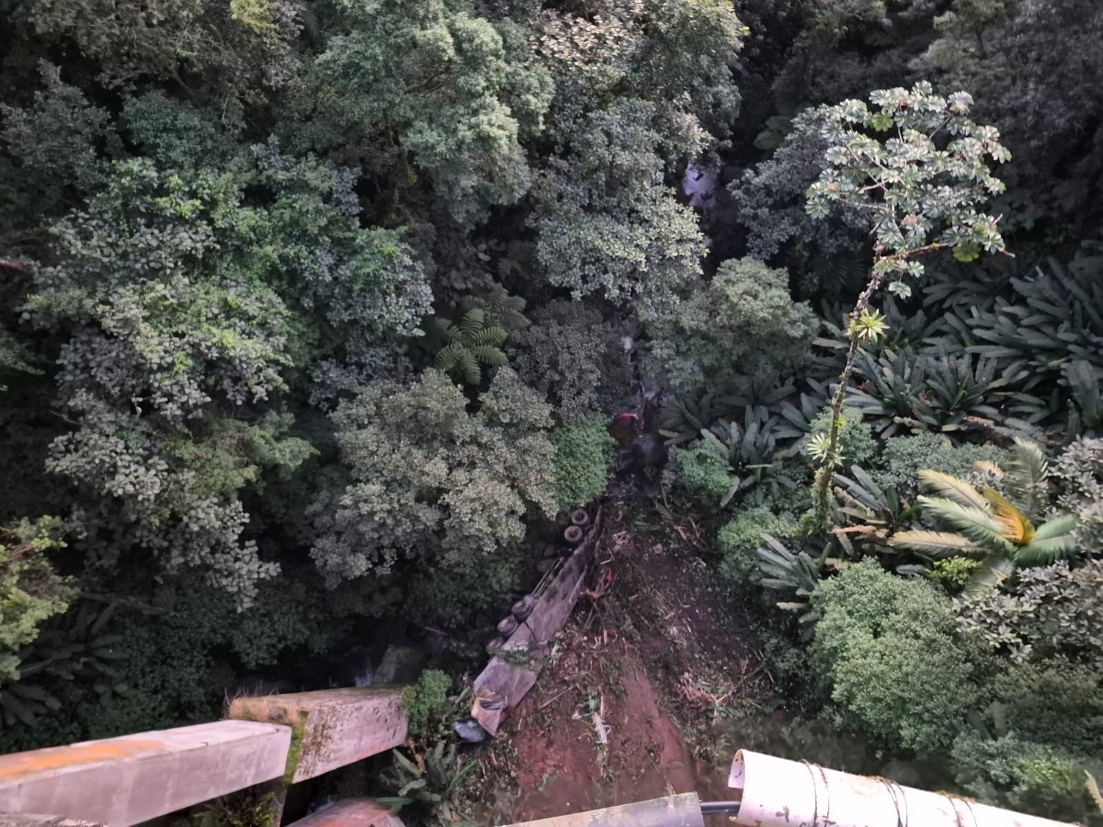 Caminhão cai de viaduto e para cerca de 75 metros para baixo da pista na BR-277; motorista sobreviveu e passageira morreu