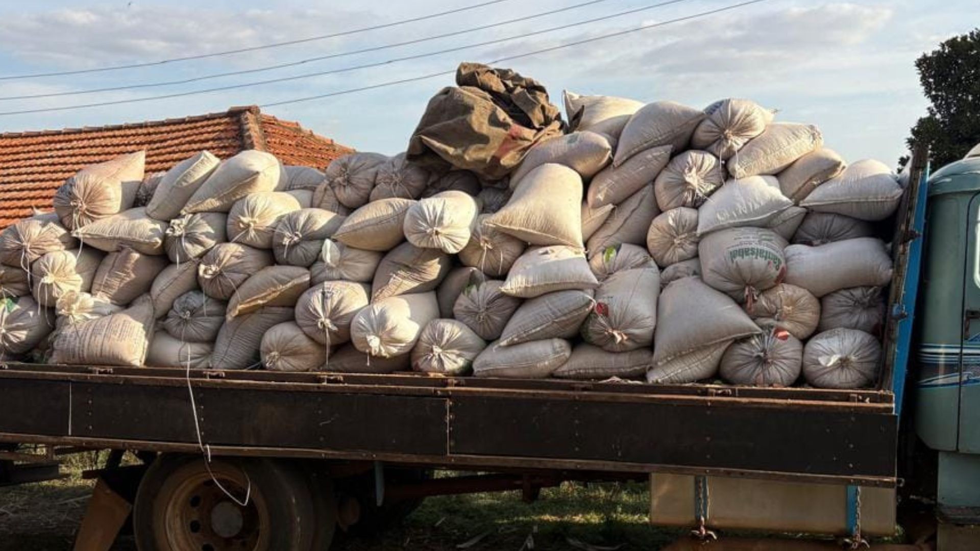 PM recupera 400 sacos de soja furtados e prende quatro suspeitos em Taquaritinga, SP