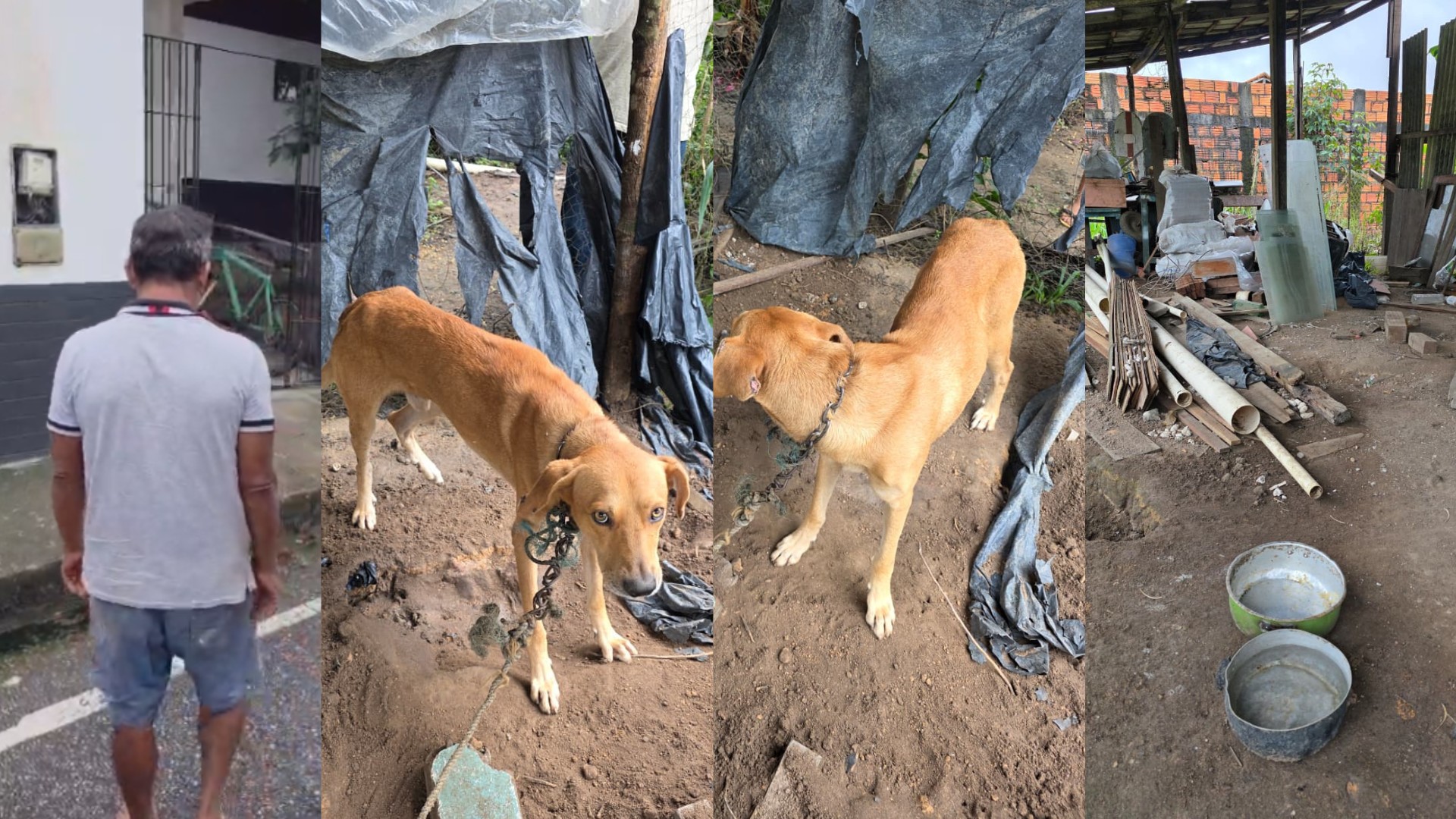 Homem é preso por manter cachorro acorrentado em imóvel abandonado em Bragança, PA