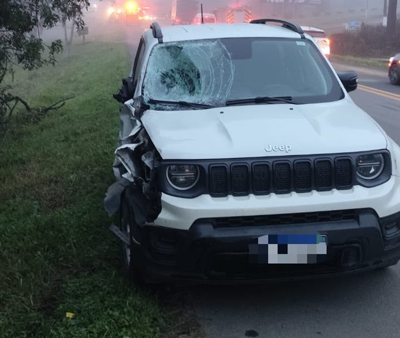 Irmãos de 7 e 14 anos morrem atropelados enquanto tentavam atravessar a BR-470, em SC