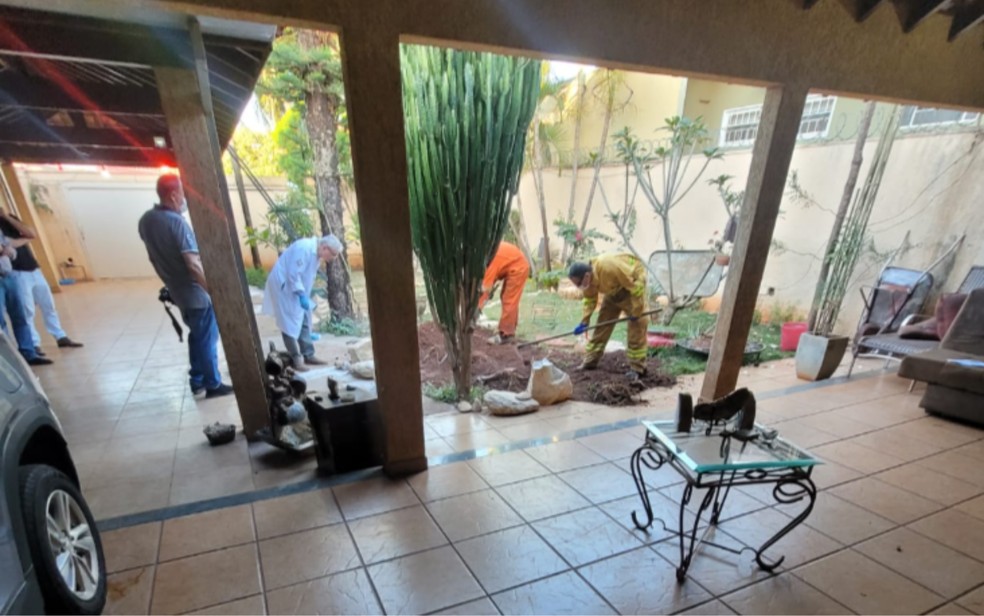 Policial suspeitou de terra remexida no quintal de casa de Nilza Costa Pingoud, em Barretos, SP, e encontrou corpo da v?tima ? Foto: Reprodu??o