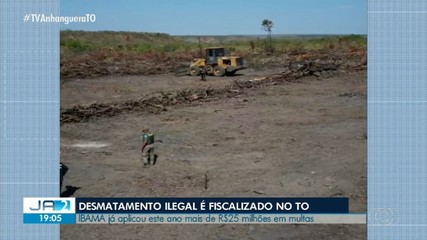 IBAMA já aplicou mais de R$ 25 milhões de multas em 2024 por desmatamento ilegal