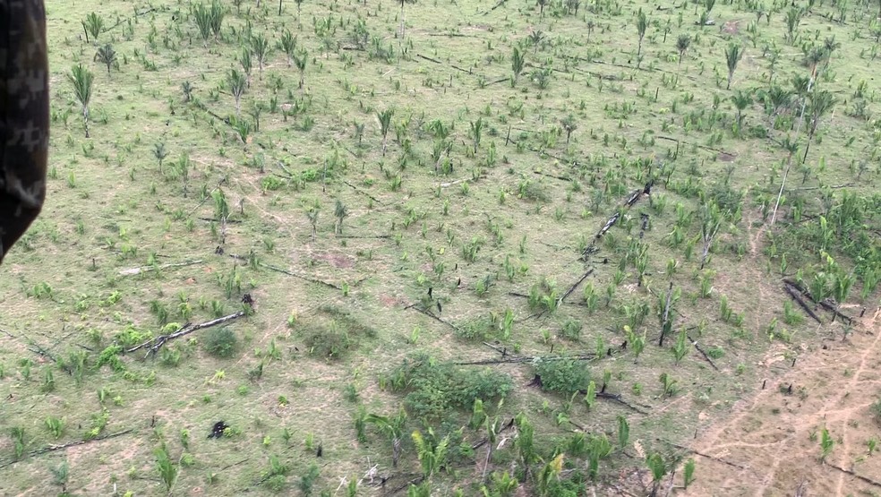 Desmatamento  no Parque Guajará — Foto: Rede Amazônica