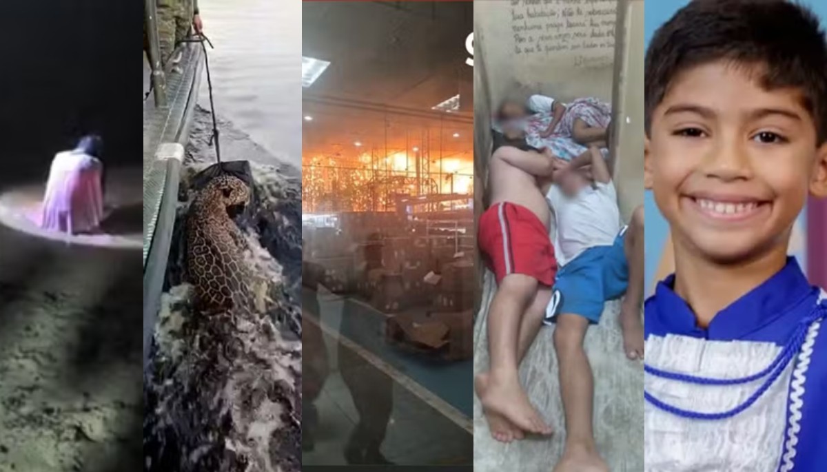 Mulher de branco, onça baleada, incêndio histórico e mais: os fatos que marcaram o Amazonas em 2025