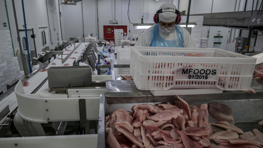Tarifaço: futuro da relação comercial com os EUA passa pelo julgamento da Seção 301; entenda - Estados Unidos alegam que práticas 'desleais' brasileiras estariam prejudicando 'empresas, trabalhadores, agricultores e inovadores tecnológicos dos EUA'.