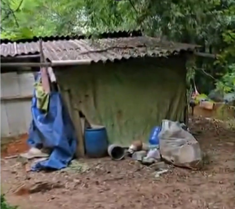 Mulher é encontrada morta em área de mata de Nova Odessa e casal é preso por feminicídio após desaparecimento da vítima