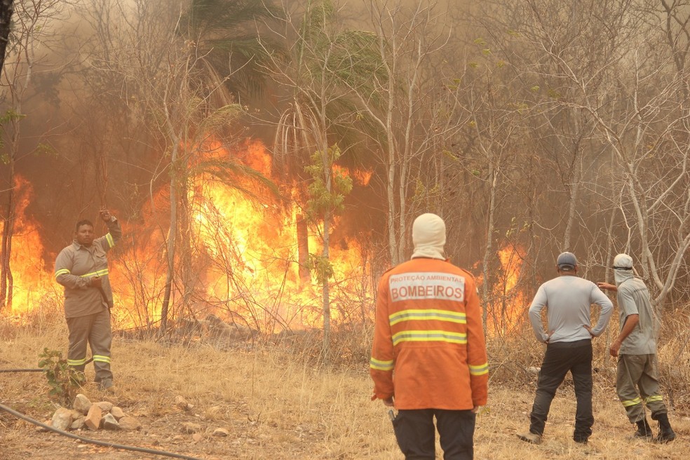 Bombeiros e brigadistas na região da Serra do Amolar, no Pantanal de MS. — Foto: Governo de MS/Divulgação