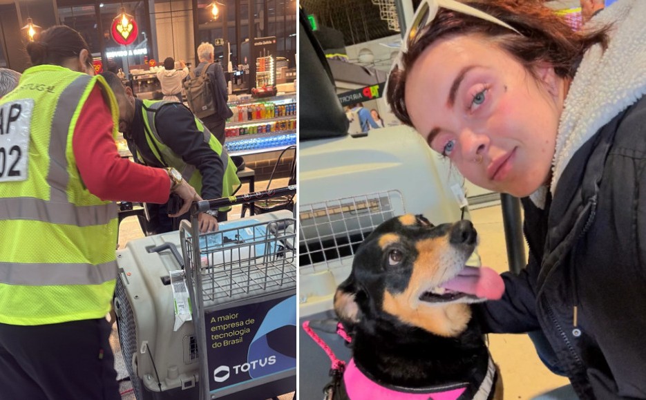 Família relata descaso após cadela que vinha de Portugal escapar de caixa de transporte e ficar sumida em aeroporto de SP