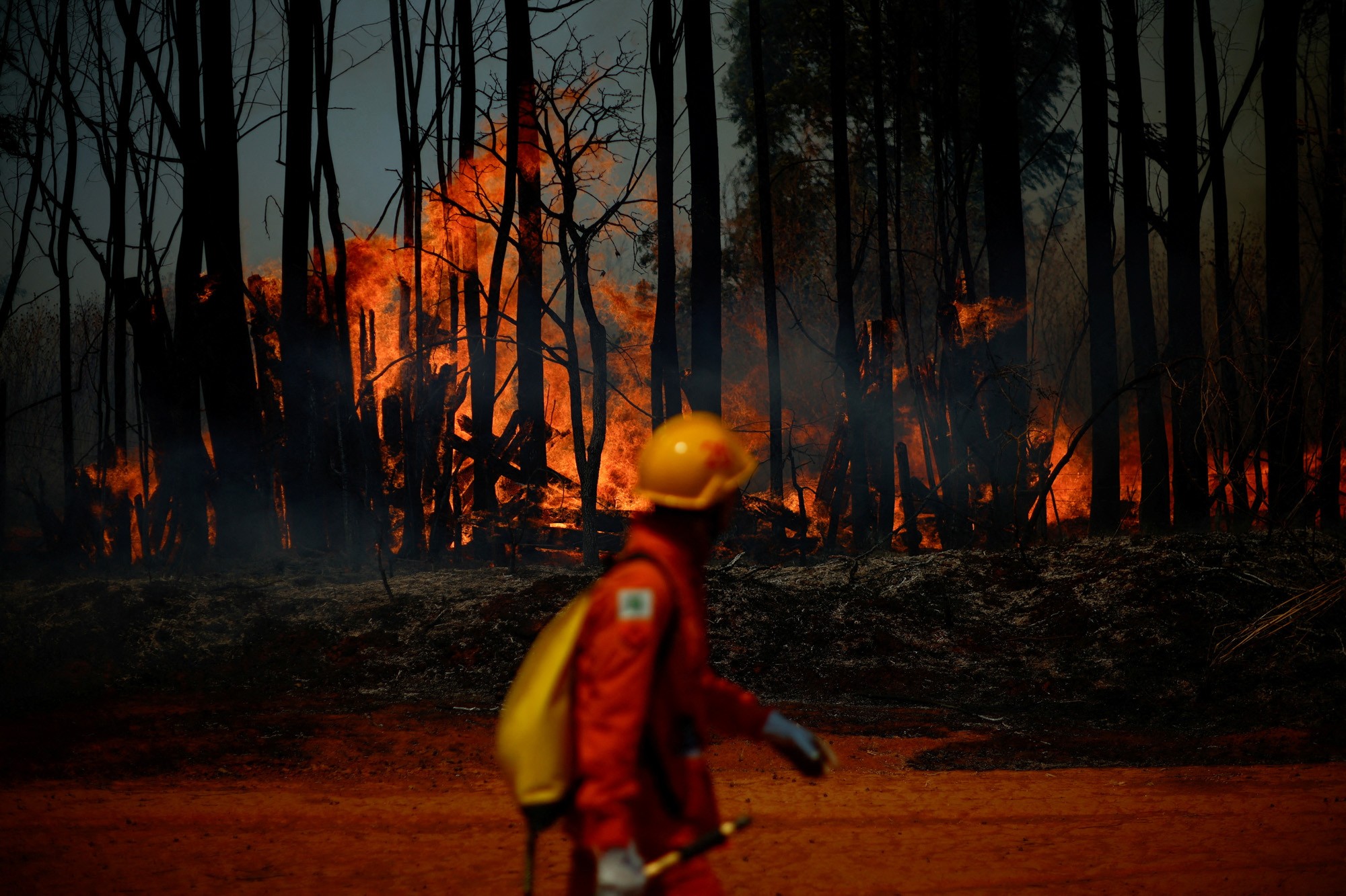 Plano Clima: saiba como enviar propostas ao governo federal sobre como enfrentar mudanças climáticas e reduzir impactos 