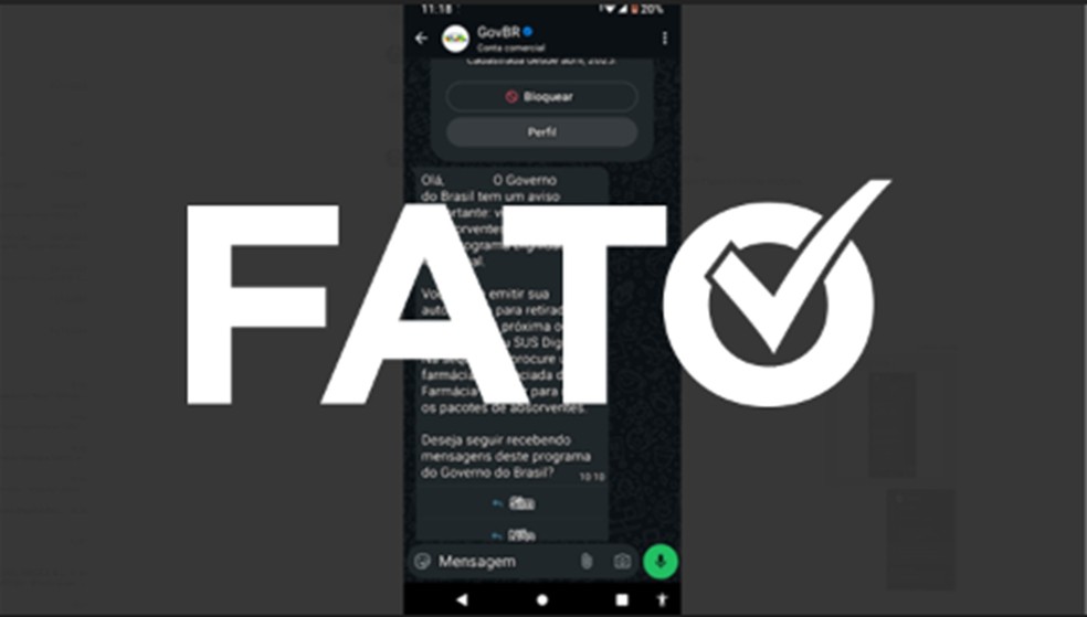 É #FATO: governo envia WhatsApp para quem tem direito a receber absorvente gratuito; veja como funciona — Foto: Reprodução