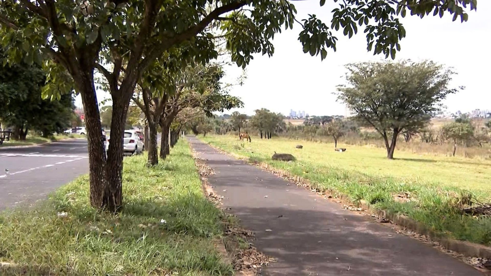 Uberlândia terá novo parque aberto ao público