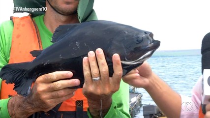 Tocantins é representado na COP30 com pesquisa sobre a criação de tambaqui