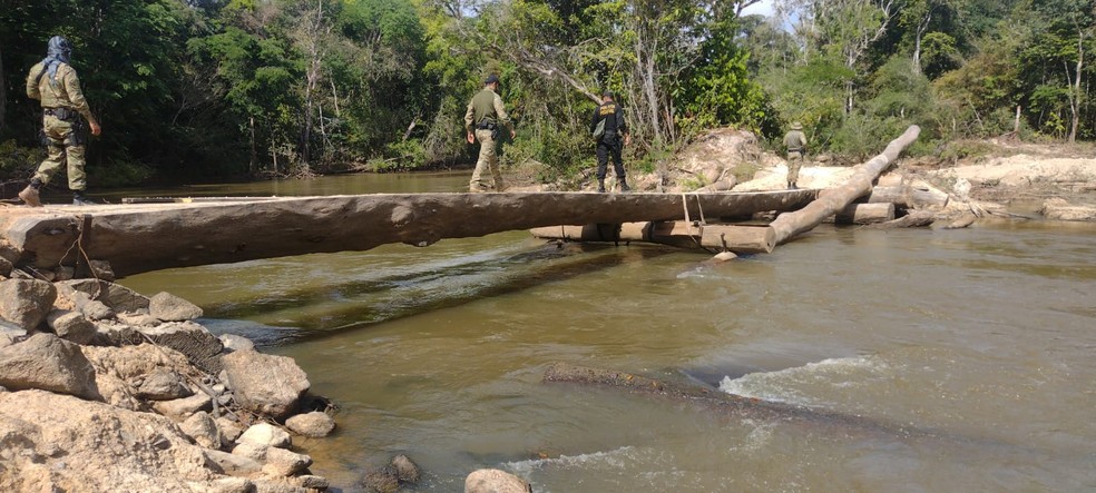 PF encontra ponte ilegal na Terra Indígena 7 de Setembro — Foto: PF/Divulgação