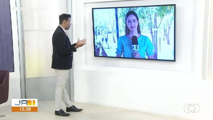 Veja quais são as regras para trabalhadores que pegam atestado médico