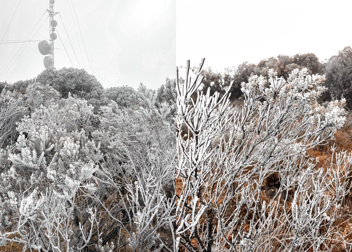 Fenômeno incomum muda paisagem da capital nacional do frio em amanhecer de -1,32°C em SC