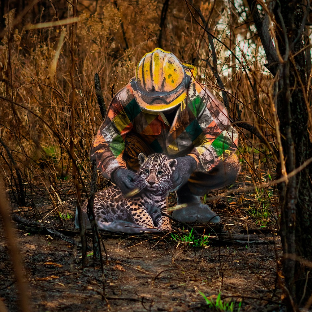 Kobra faz intervenção artística em área de mata queimada para conscientizar sobre fauna e flora — Foto: Turbo Labs/Studio Kobra
