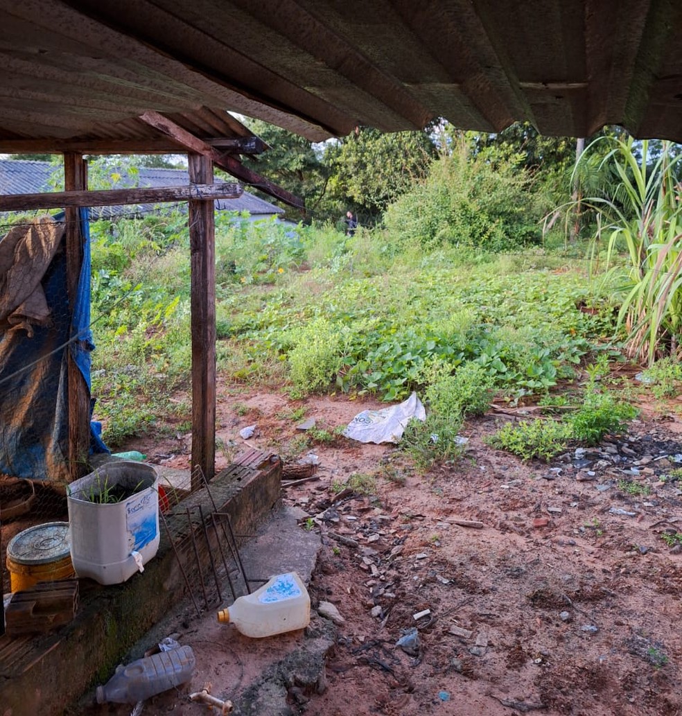 A operação integra o programa Tolerância Zero, do Governo de Mato Grosso — Foto: Polícia Civil de Mato Grosso