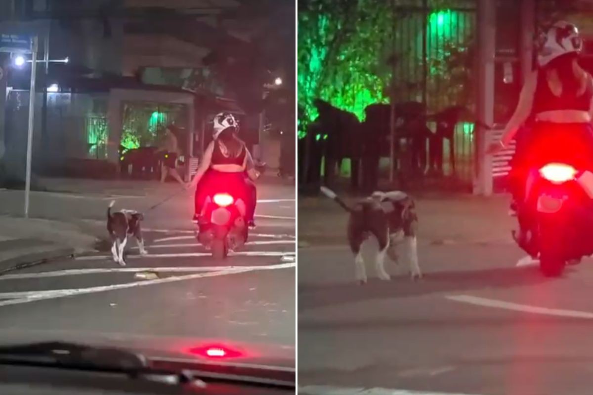 Vídeo mostra casal puxando cão pela coleira enquanto anda de moto e causa polêmica na web