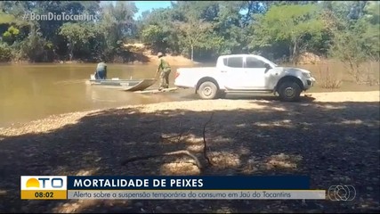 Órgãos ambientais suspendem consumo de peixes do rio Santa Tereza no sul do estado