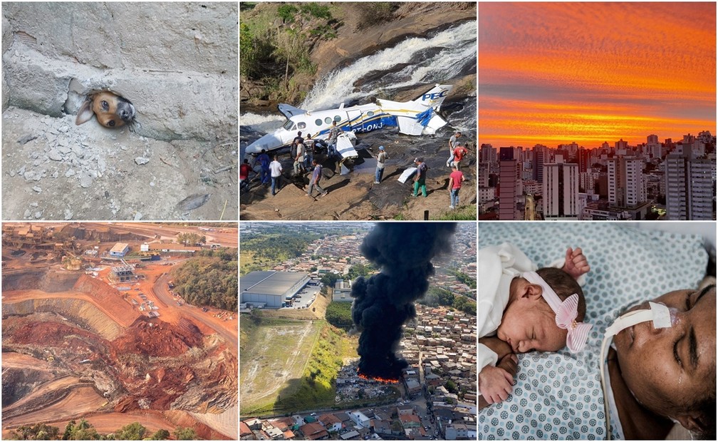 Artesã faz bonecas que parecem bebês de verdade na Grande BH e tem clientes  até fora do país, Minas Gerais