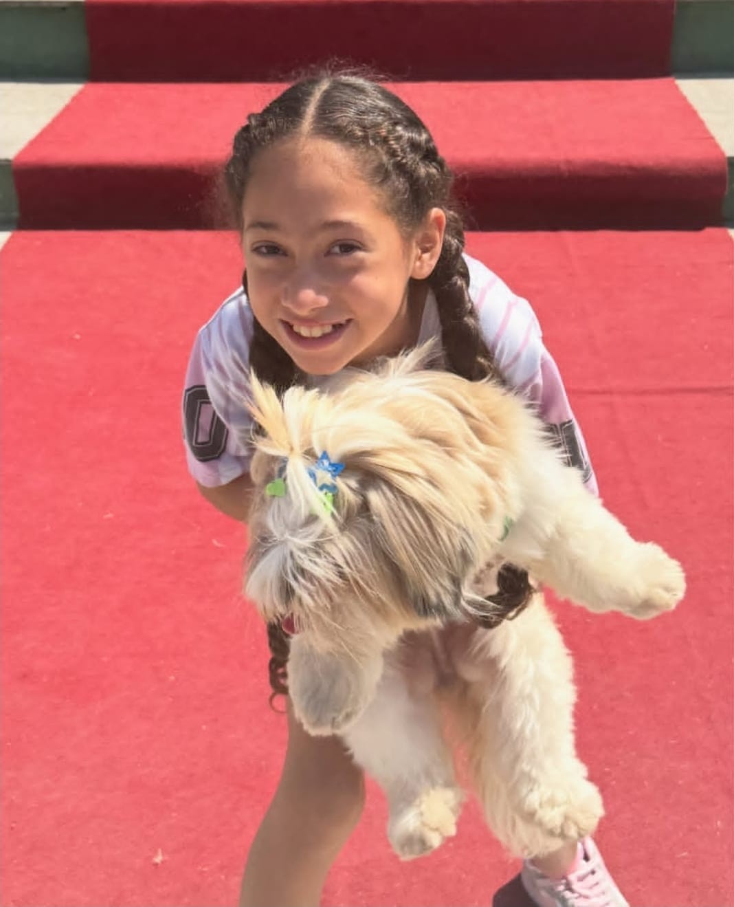 'Caminhada do Amicão' reúne famílias e pets pela primeira vez em Pinheiral; veja fotos — Foto: Divulgação/TV Rio Sul