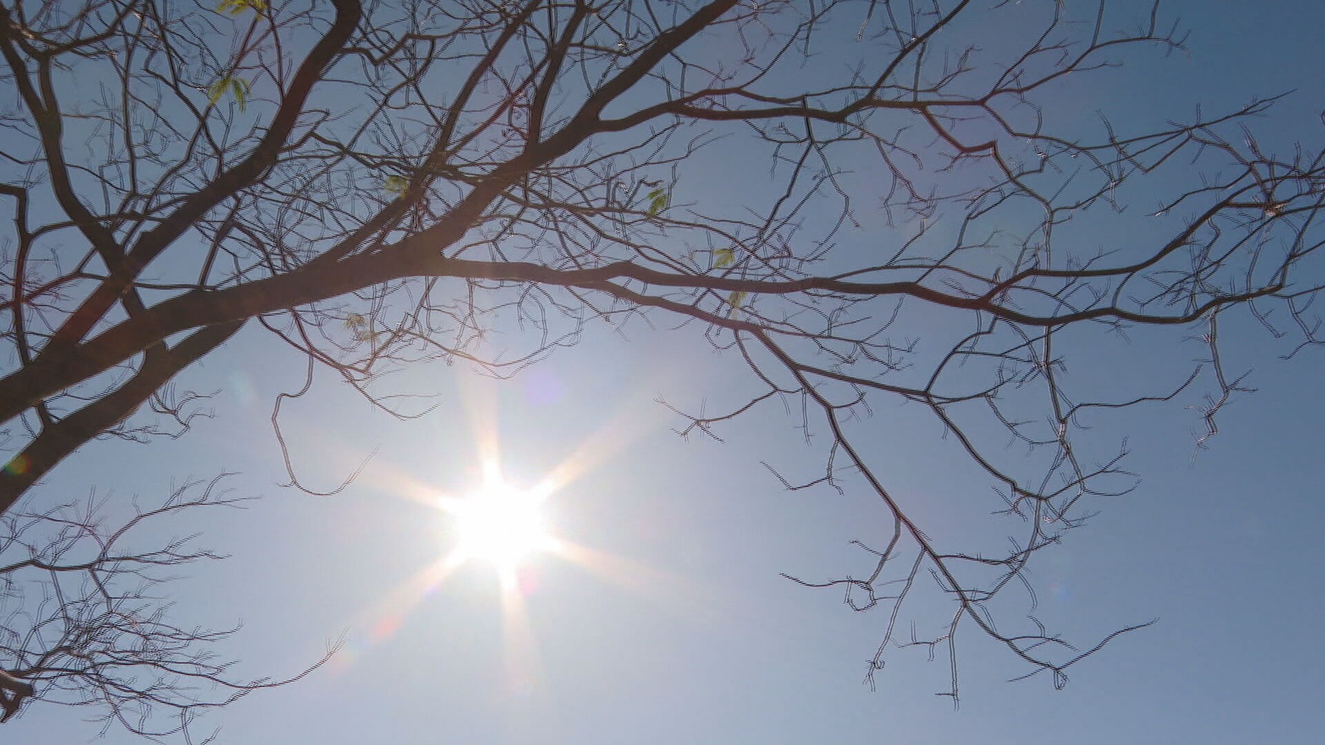 DF bate recorde de dia mais quente do ano: 35,4°C